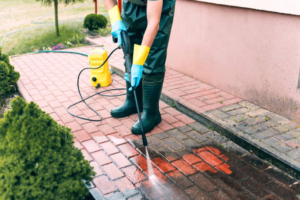 Best Solar Panel Cleaning  in Collinsville, TX